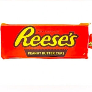 Reese's Pencil Pouch - NWT